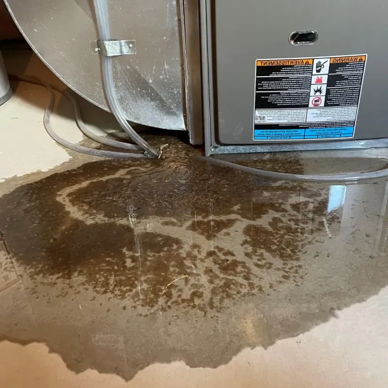 Pipe Burst and Leak Restoration in Wayne County, IN