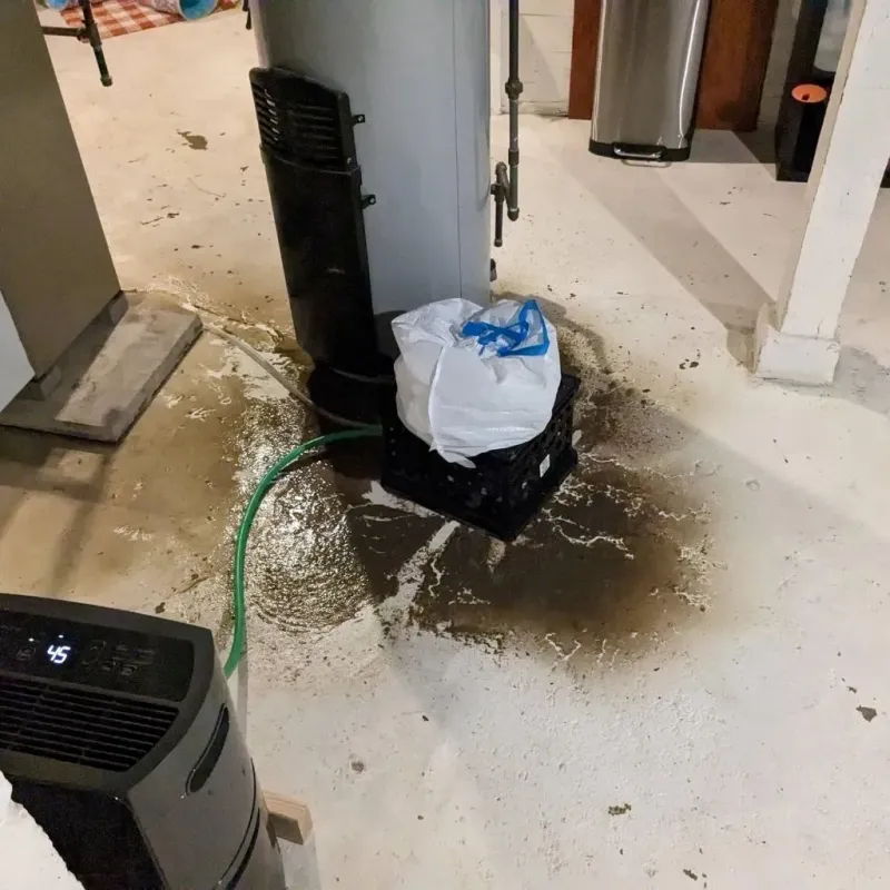 Sewage Backup Cleanup Service in Wayne County, IN